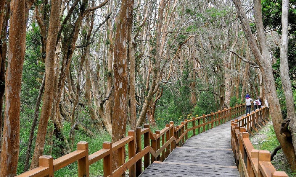 Parque Nacional Ream.