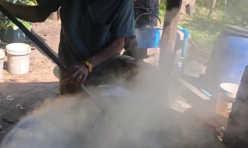 Cocinar el arroz al vapor