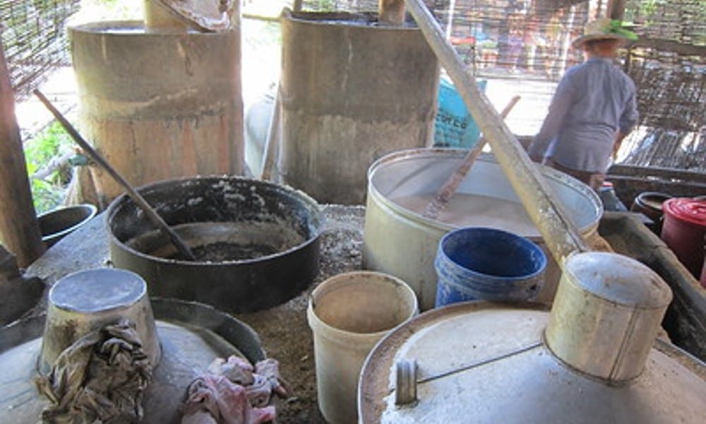 Cocine al vapor el arroz fermentado