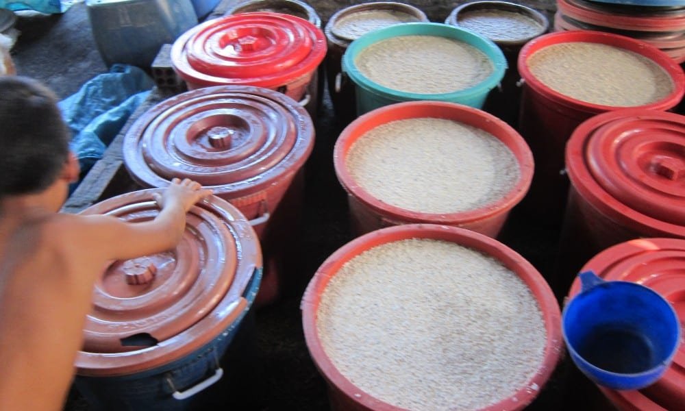 Fermentación durante 3 días