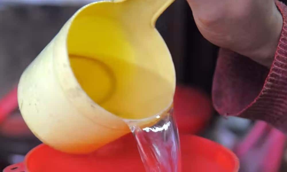 Hervir y sacar lo primeros litros de vino de Arroz