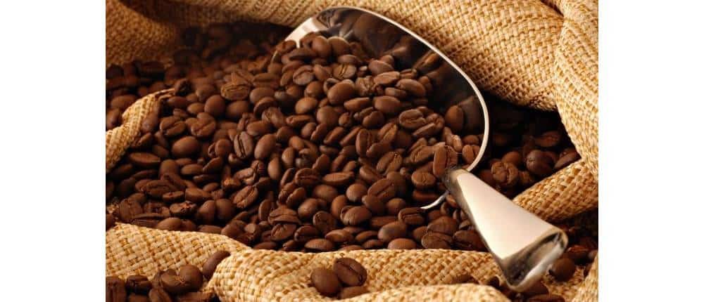 ¿Qué sabor tiene el Café en Camboya?