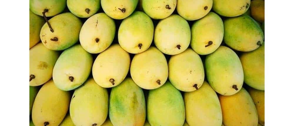 Frutas de Camboya Mango