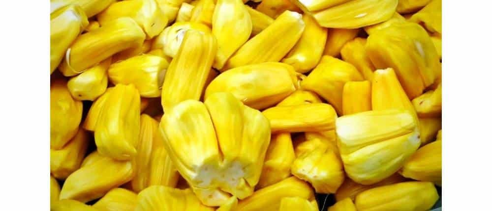 frutas de Camboya Jaca (Jackfruit)