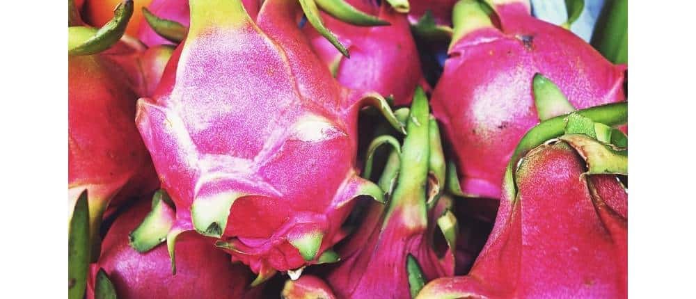 Fruta de Camboya Fruta de Dragón (Dragon Fruit)