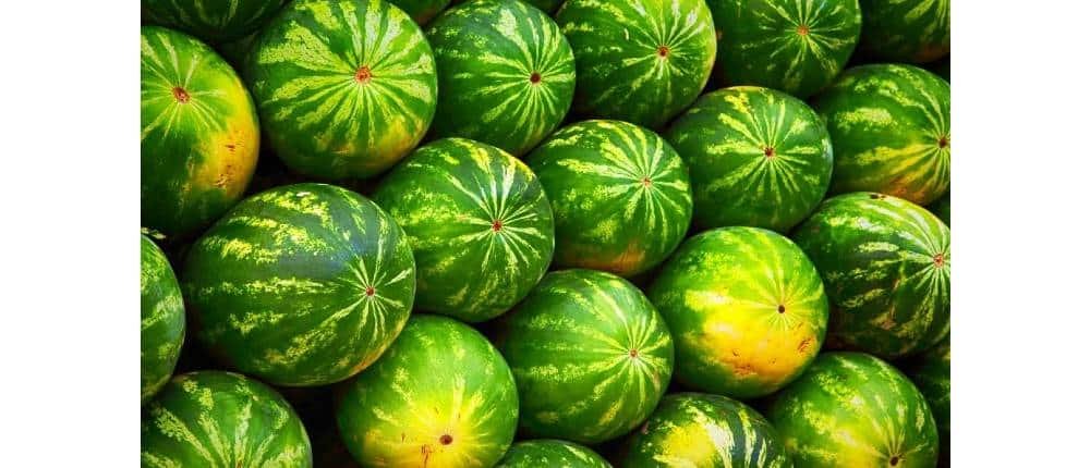 frutas de camboya sandía