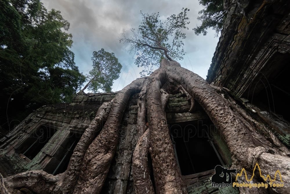 lara croft templo,ta prohm