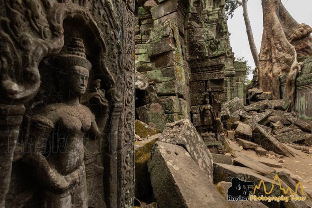 ta prohm camboya