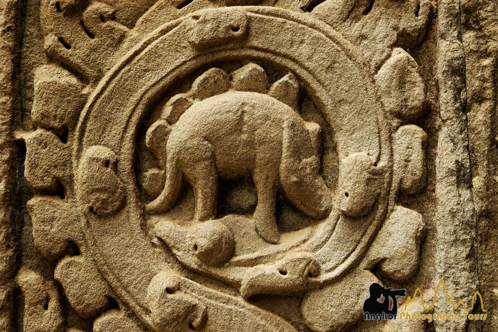 dinosaurio ta prohm temple camboya