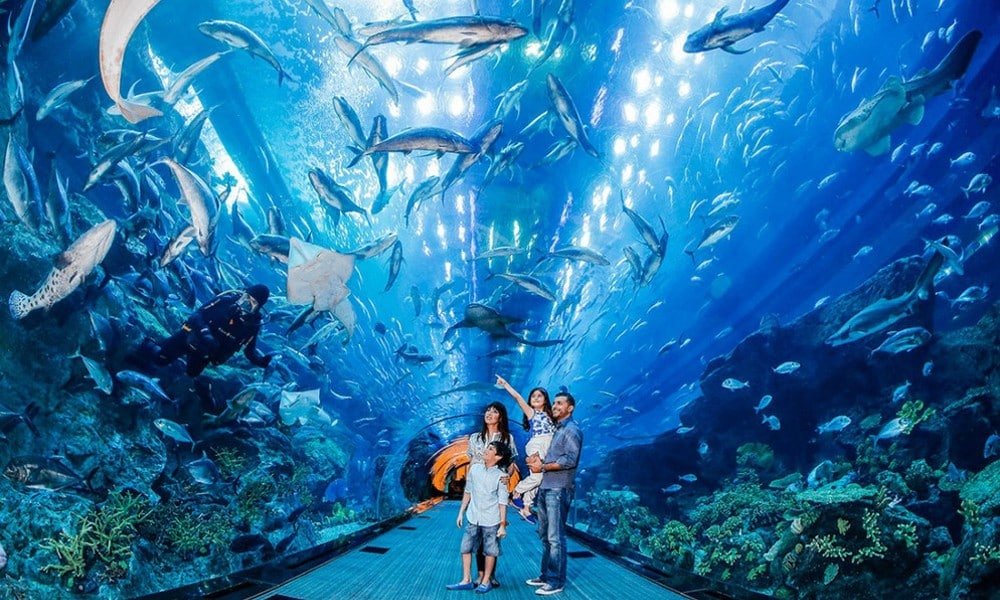 zoologico y acuario de Angkor 